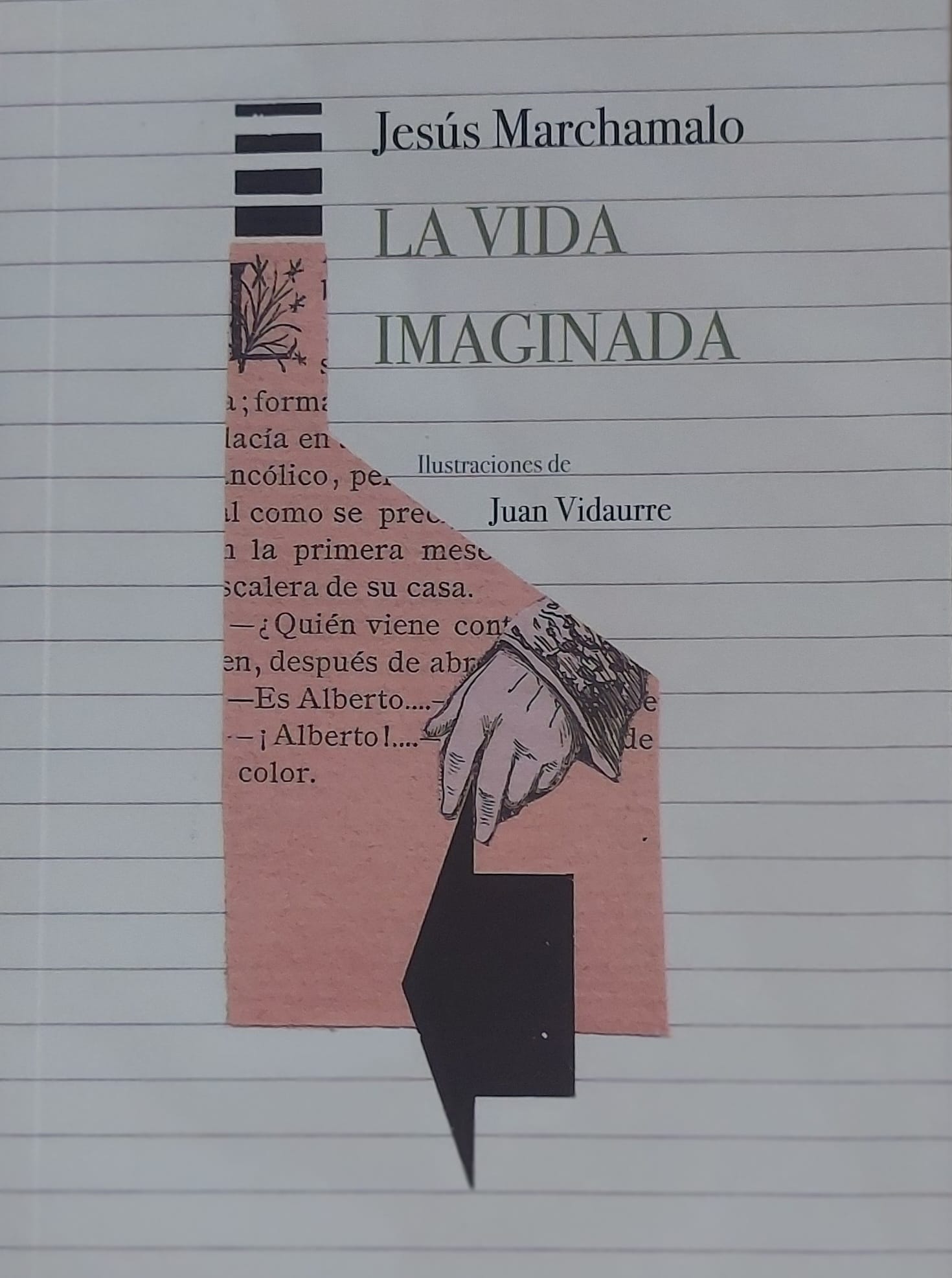 La vida imaginada